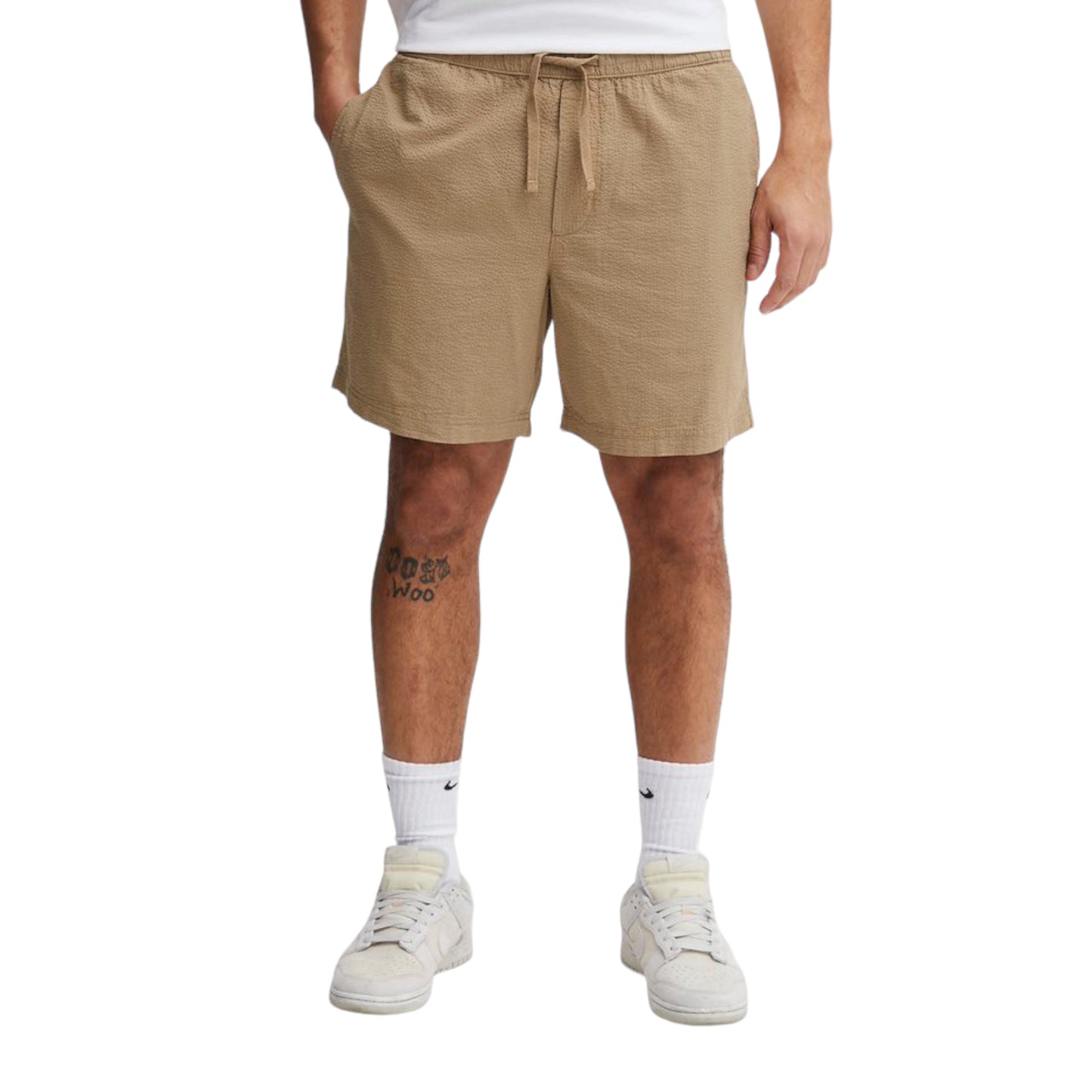 Solid - Bermuda Frevne
