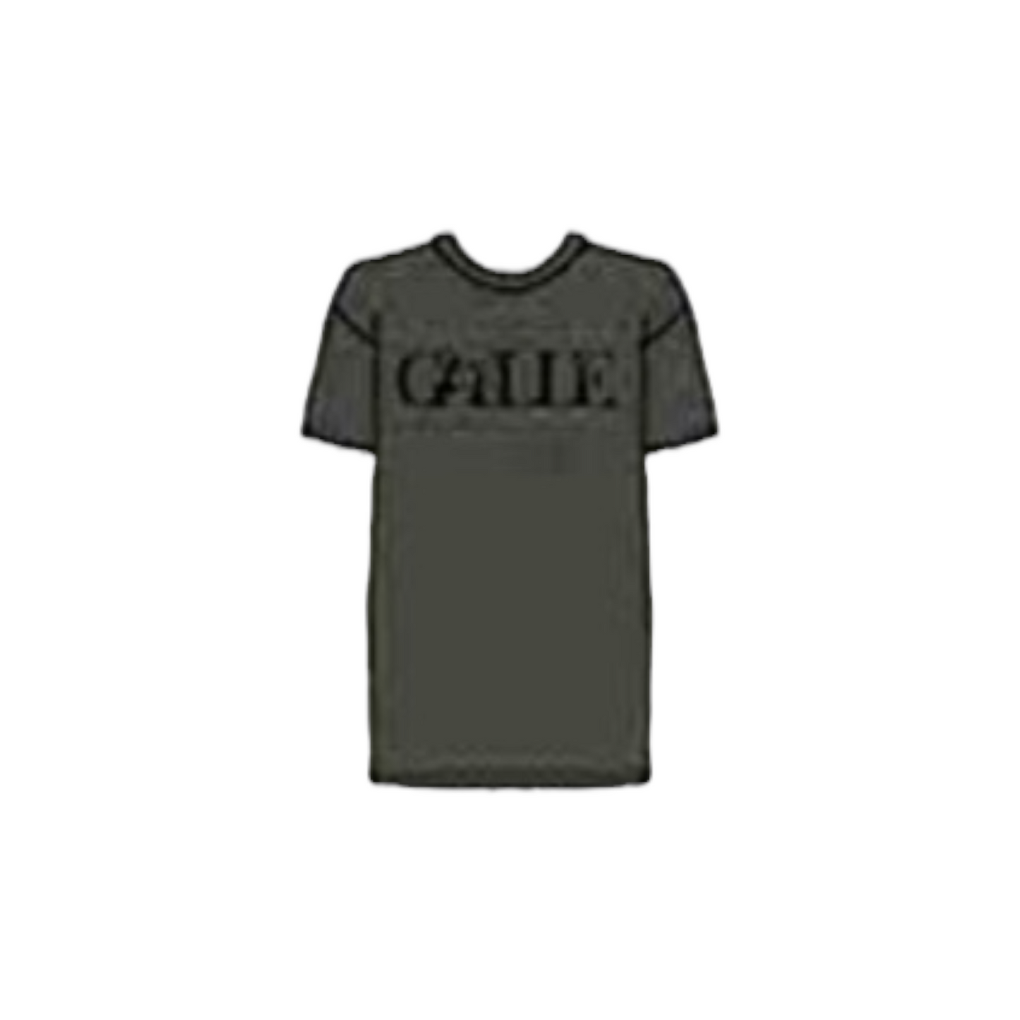 GAABW01201  - Gaelle Paris T-shirt Paricollo Verde