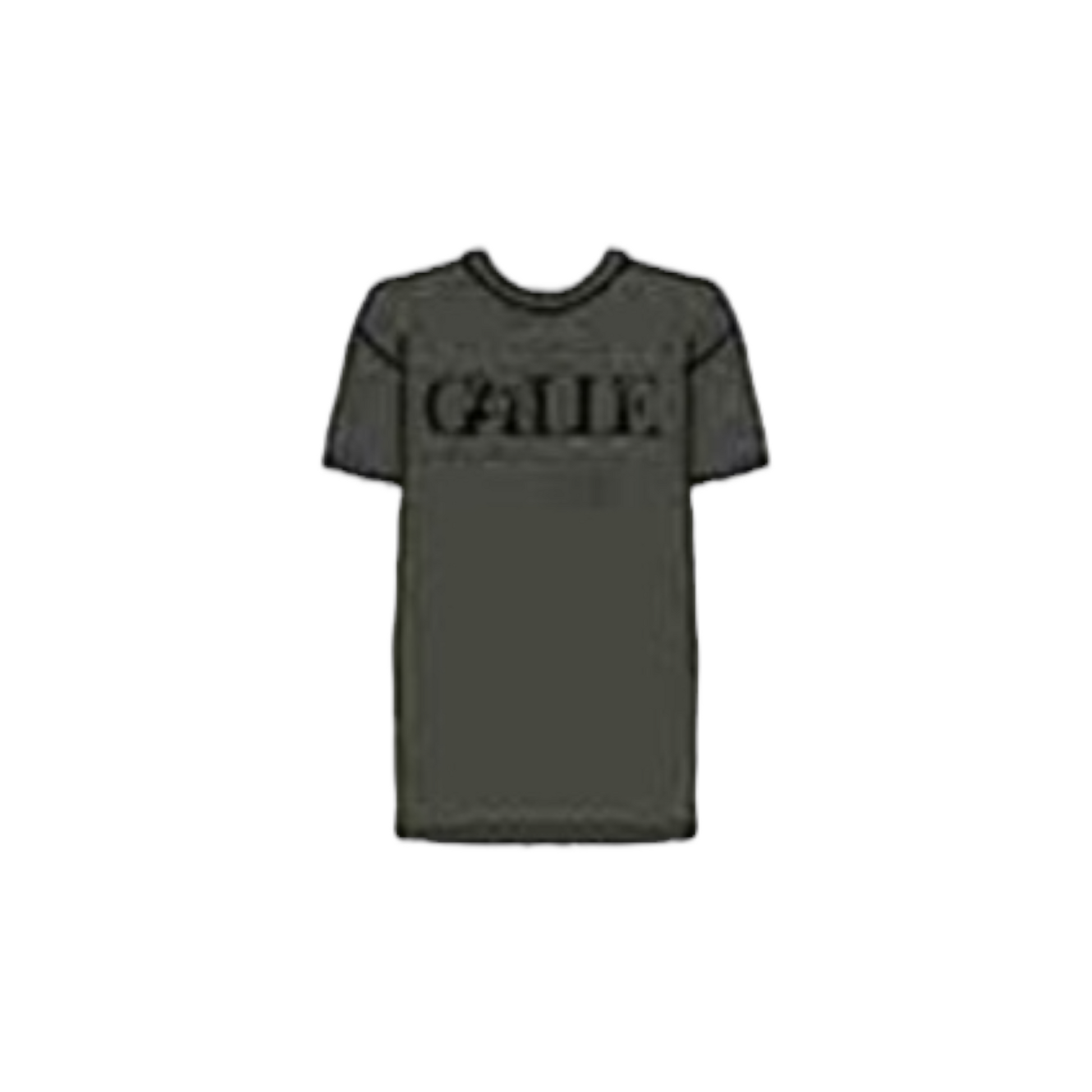 GAABW01201  - Gaelle Paris T-shirt Paricollo Verde