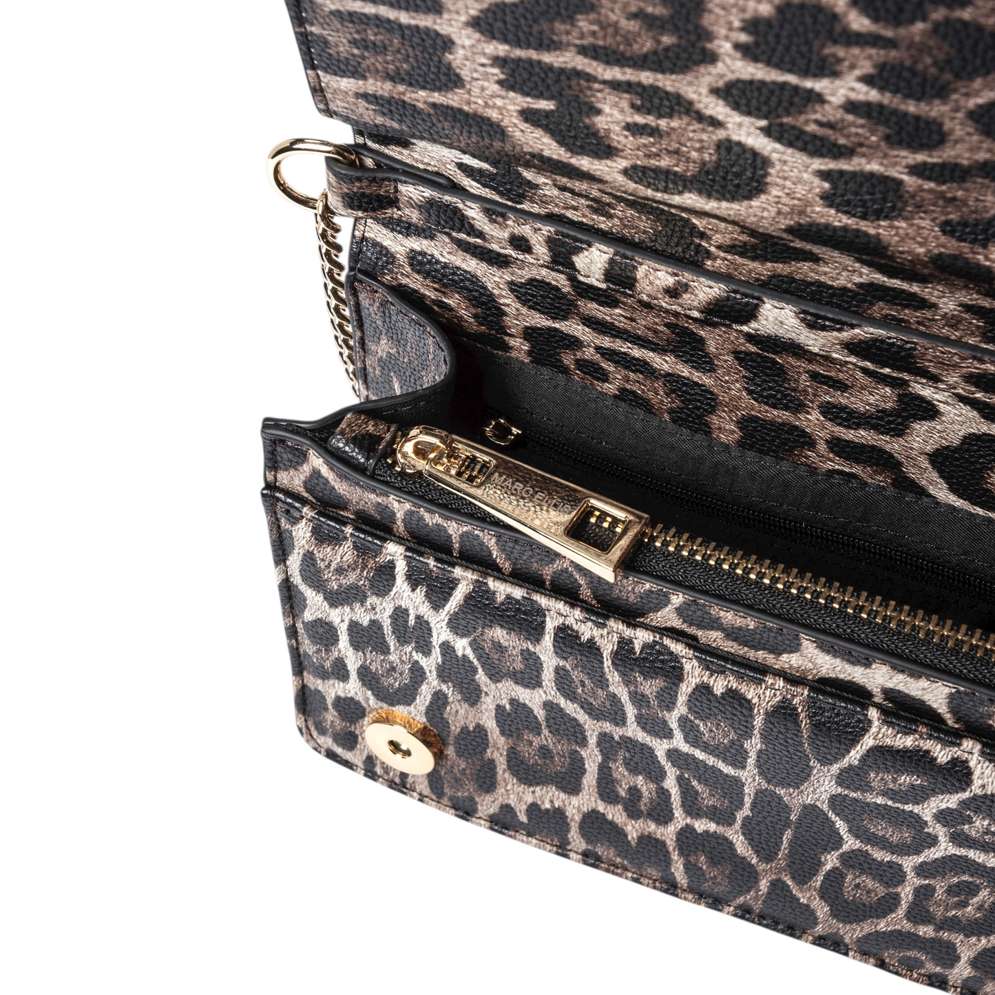 Marc Ellis - Shine Leo