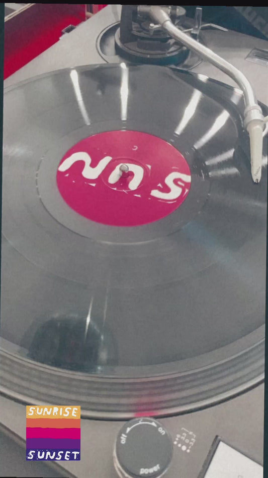 JOE DAVIES - ESCUDOS A PLENA LUZ SOLAR (2x12”)